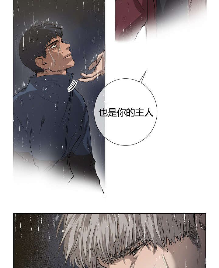 第39章：最后的战斗（下）