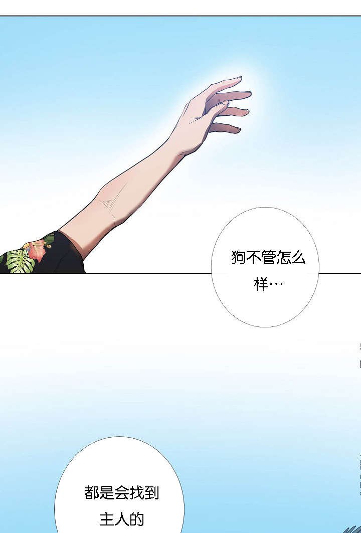 第43章：满世界的找你（完）