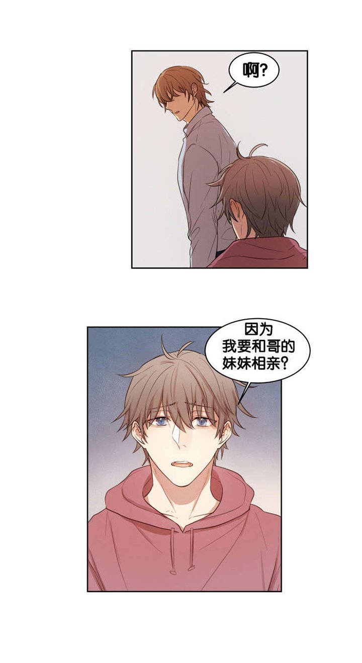 第13章：真的喜欢你
