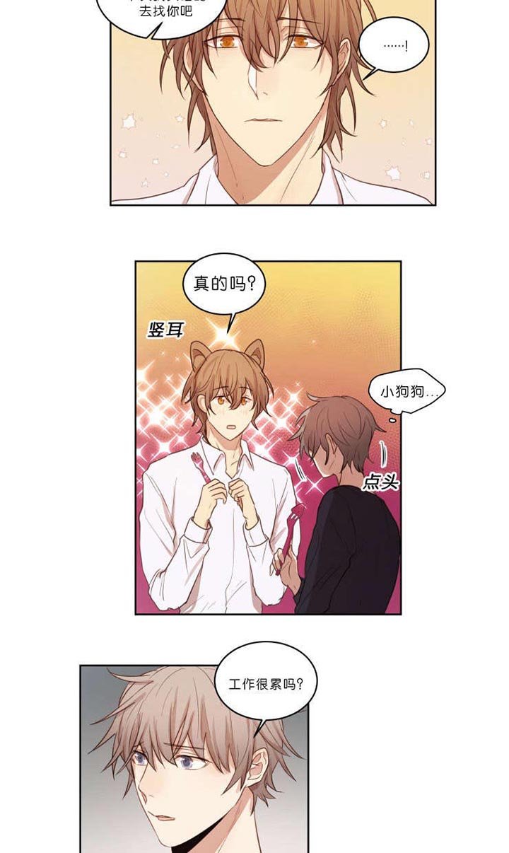 第21章：结果