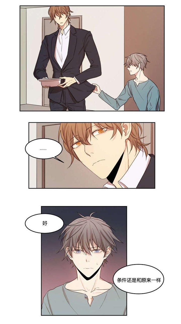第7章：看穿