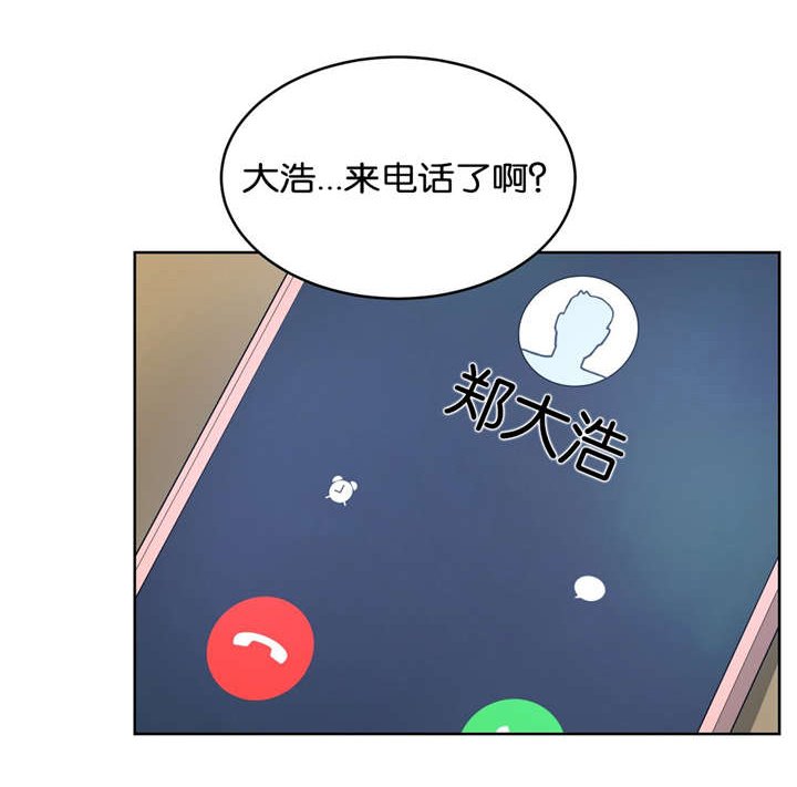 第29章：替代品