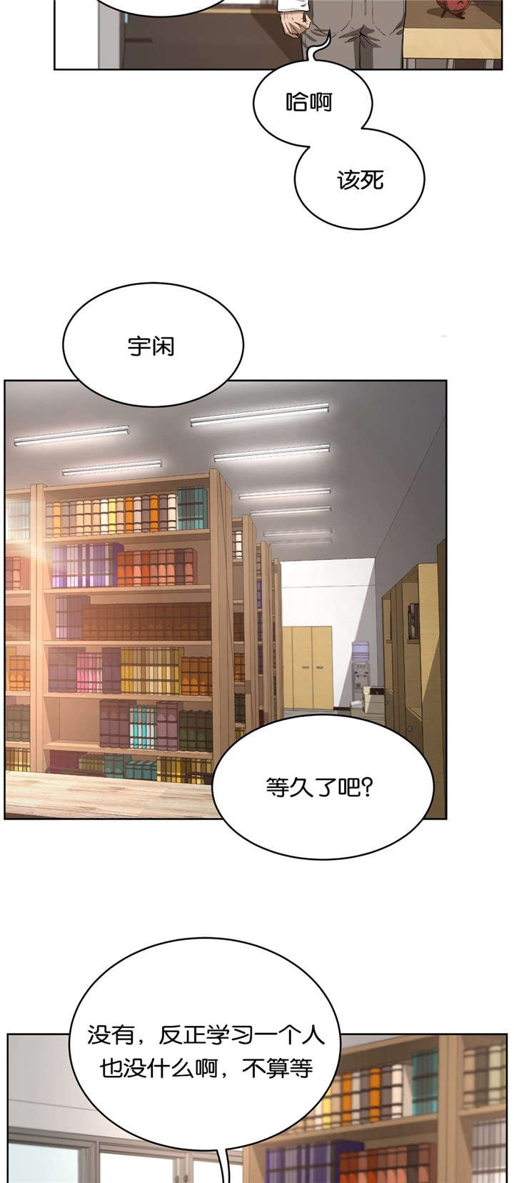 第29章：替代品