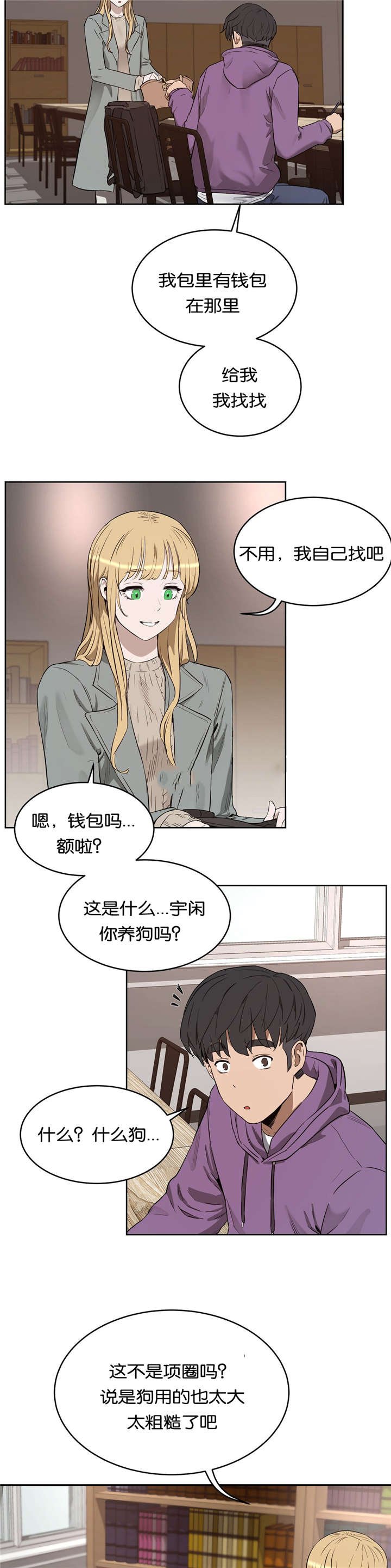 第29章：替代品