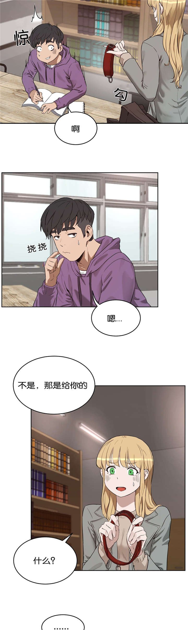第29章：替代品