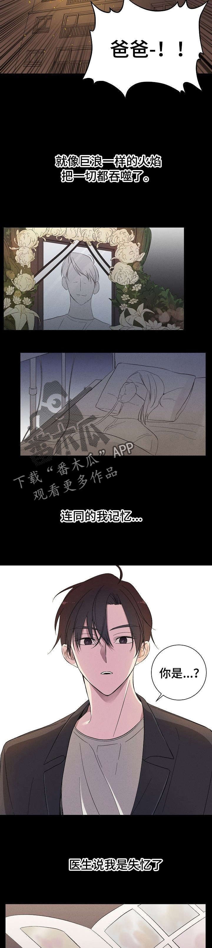 第2章：榛子糖浆