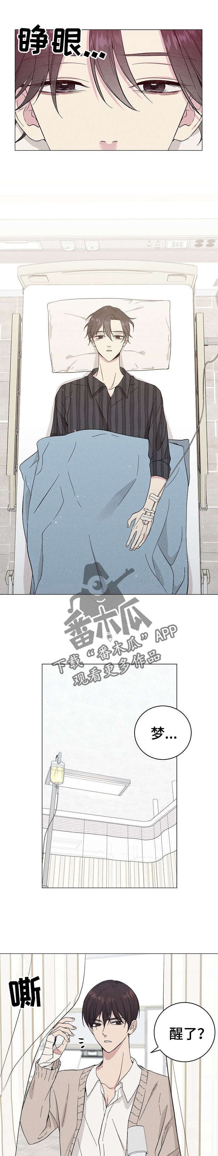 第31章：是梦