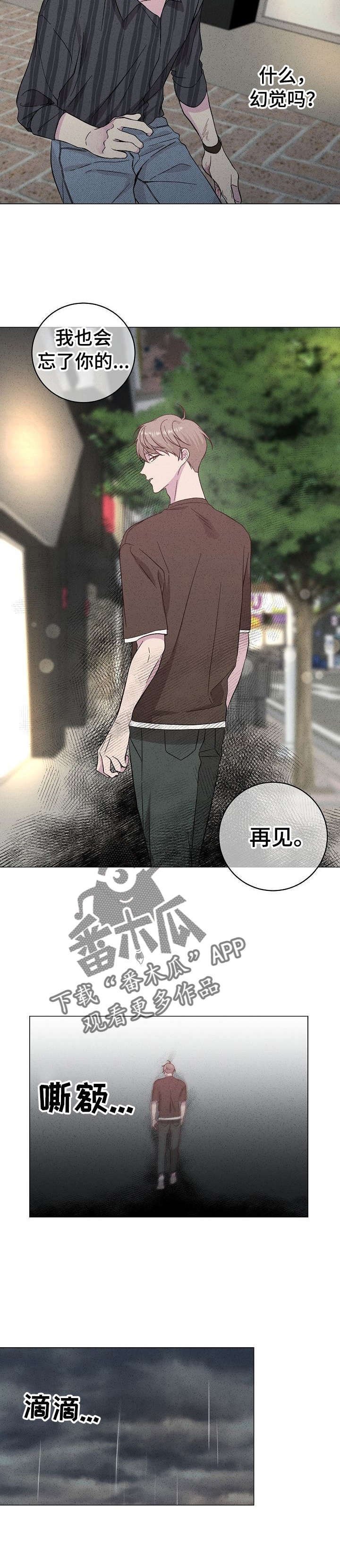 第35章：幻觉
