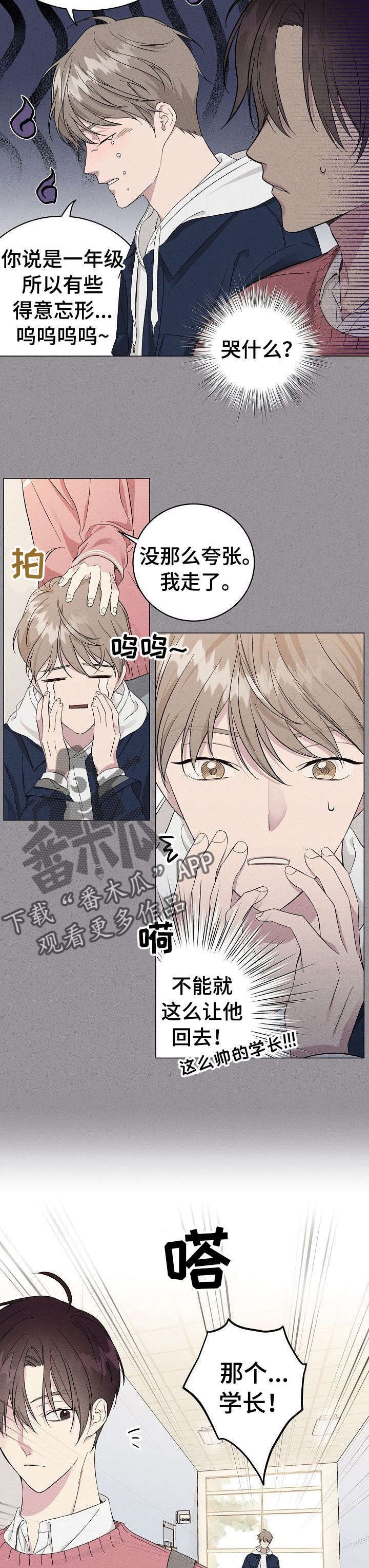 第6章：初识