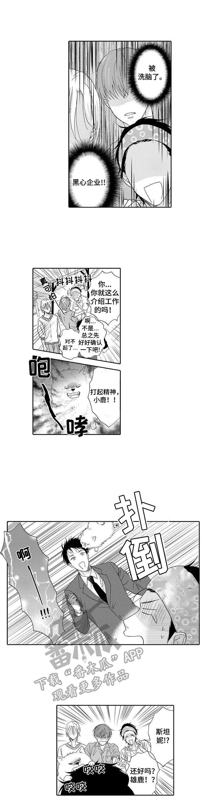 第10章：黑心公司