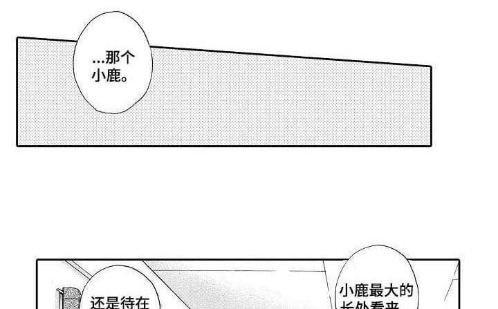 第11章：体谅