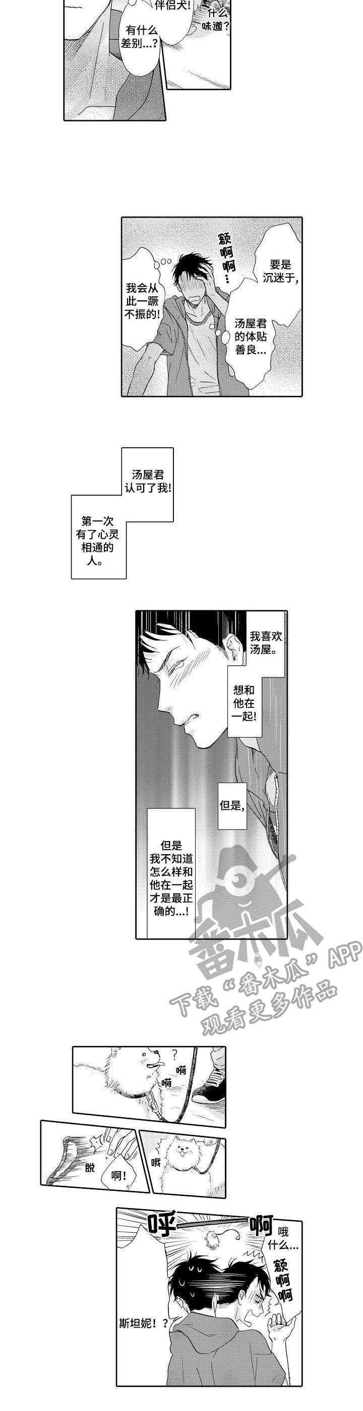 第12章：散步