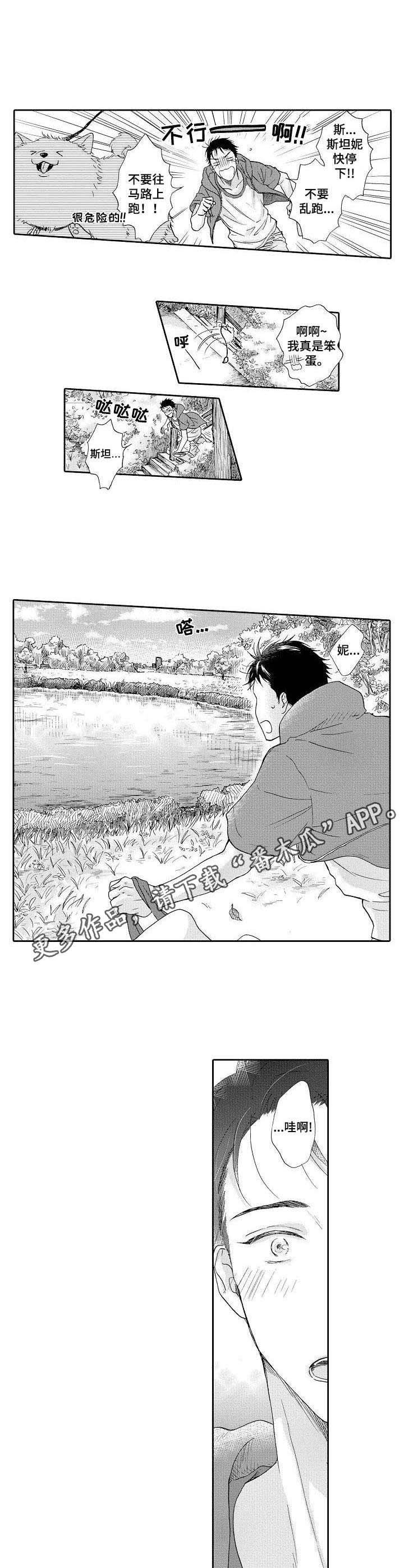 第12章：散步