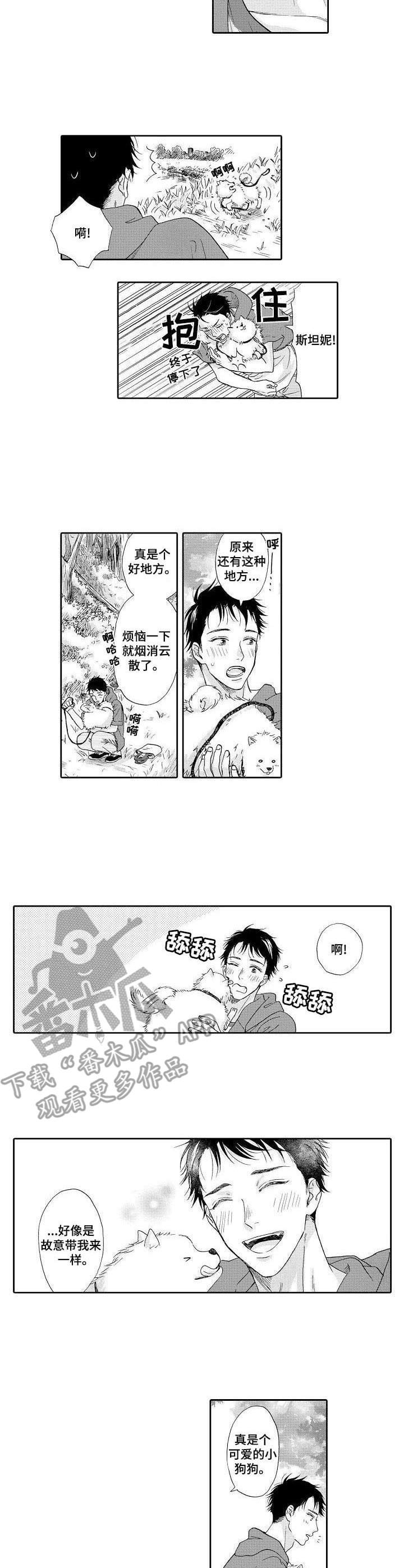 第12章：散步