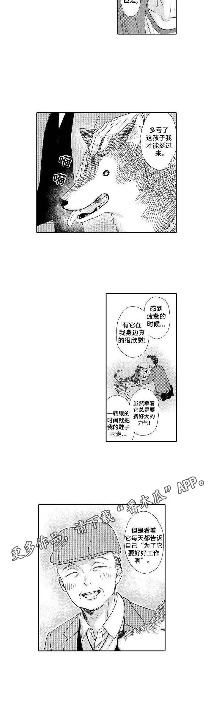 第12章：散步
