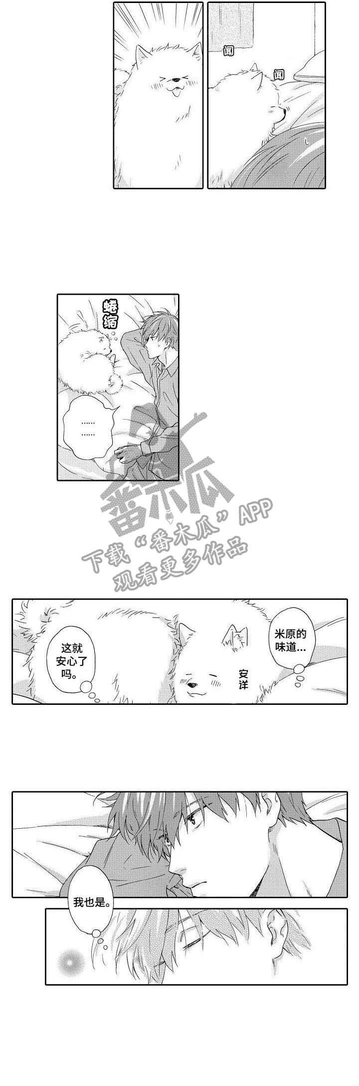 第15章：正常人