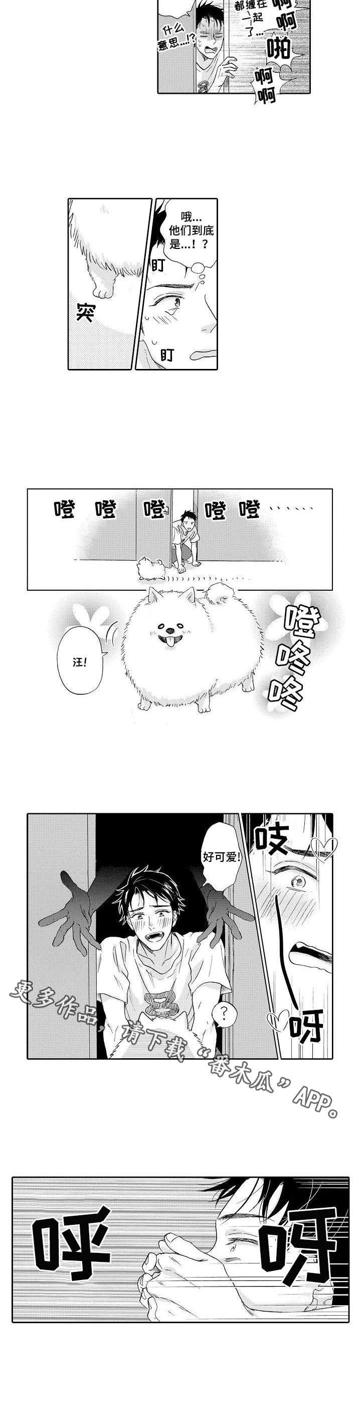 第3章： 不是梦