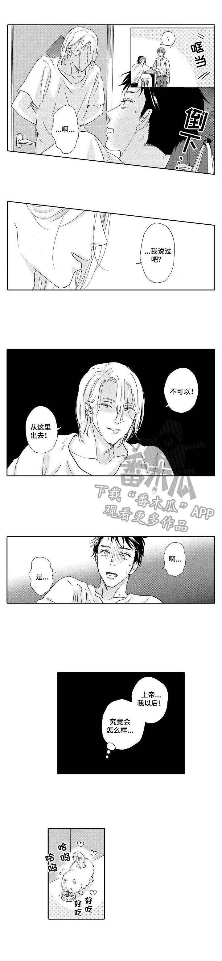 第3章： 不是梦
