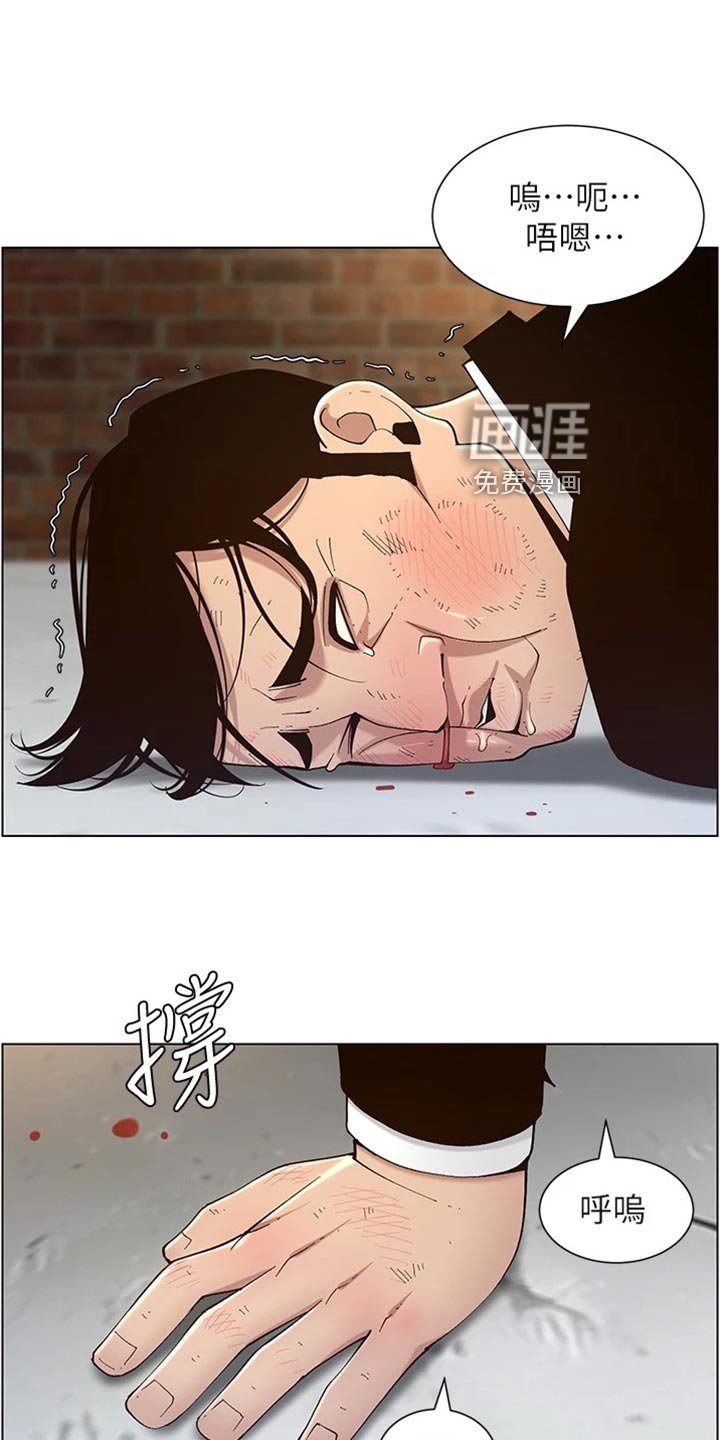 第186章：结婚【完结】