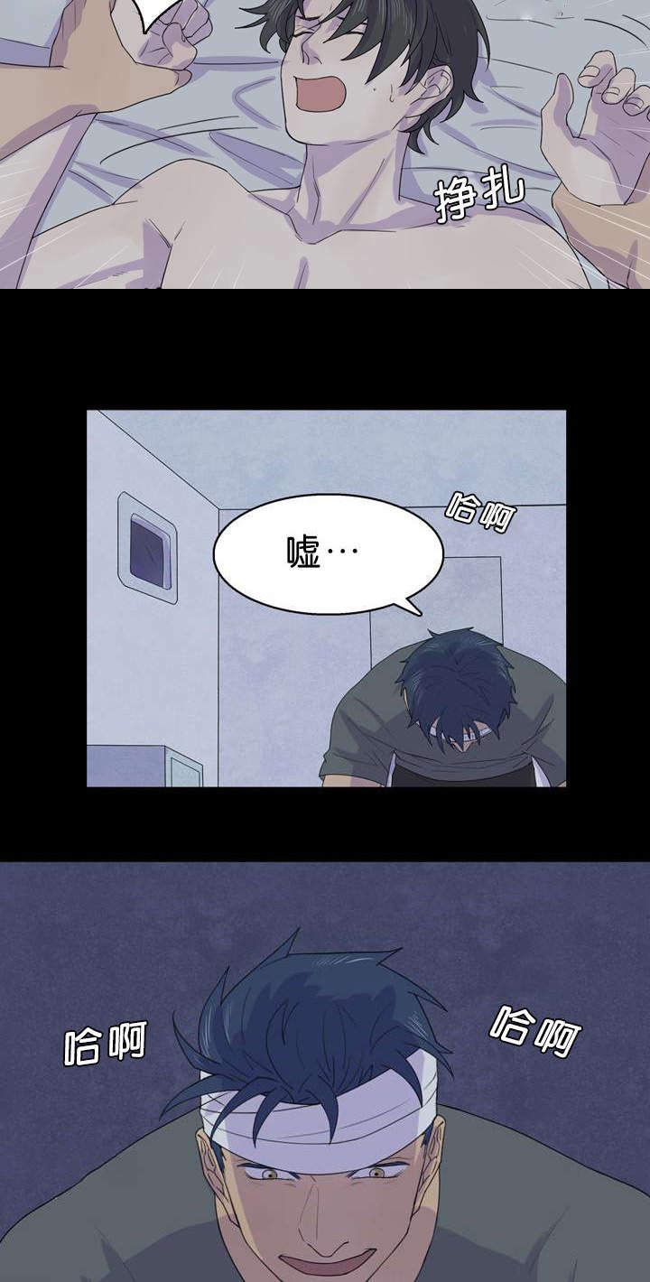 第29章：到陆地了