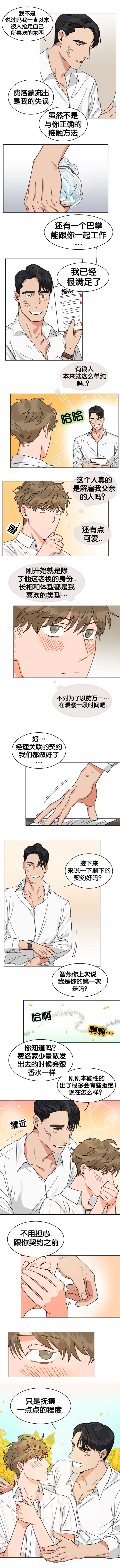第15章：契约书