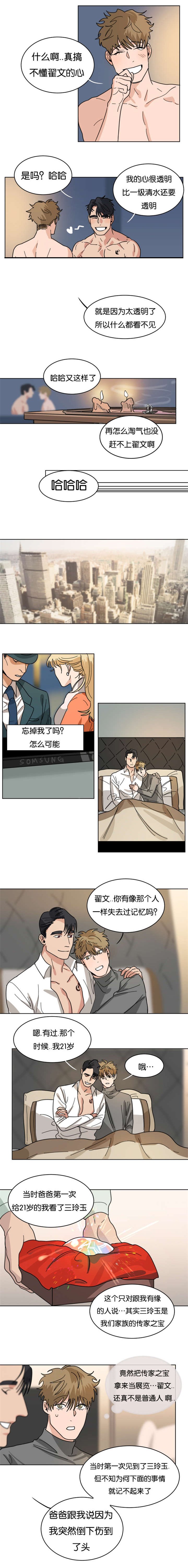 第35章：曾经失忆过