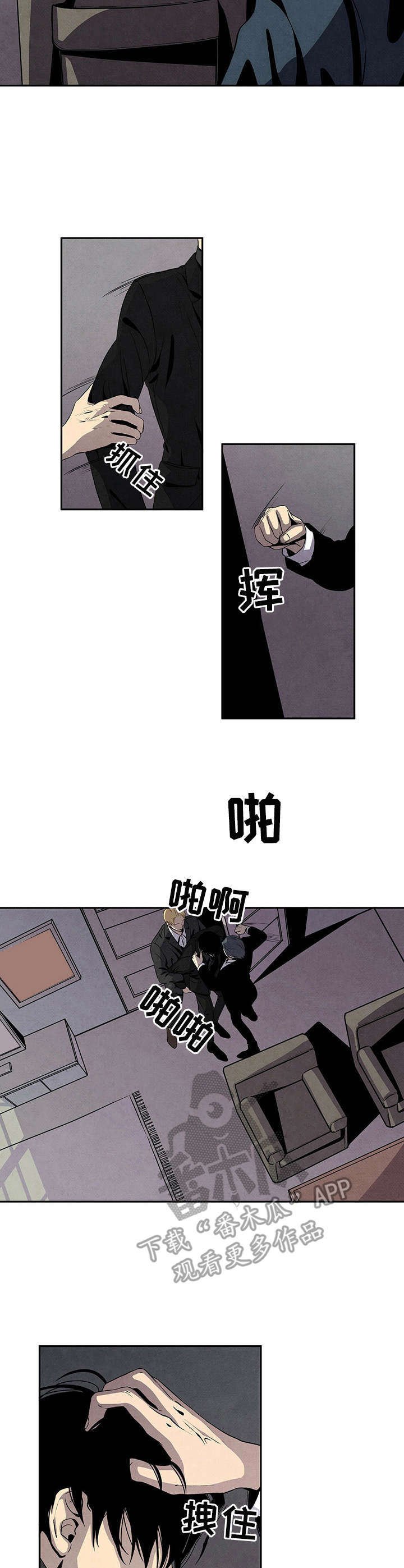 第11章：野猫