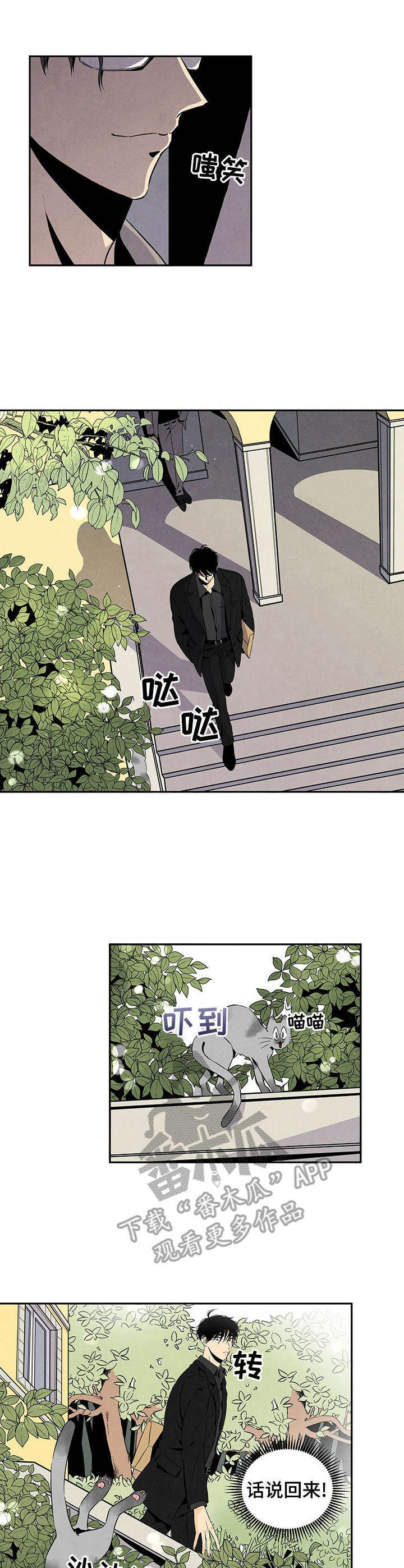 第11章：野猫