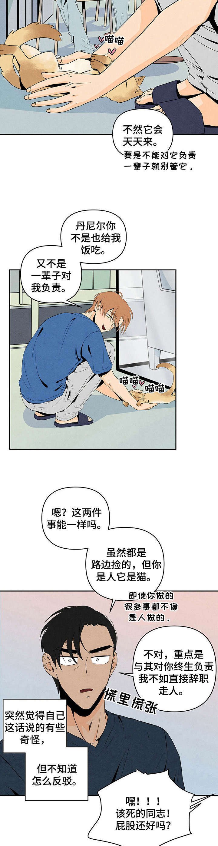 第11章：野猫