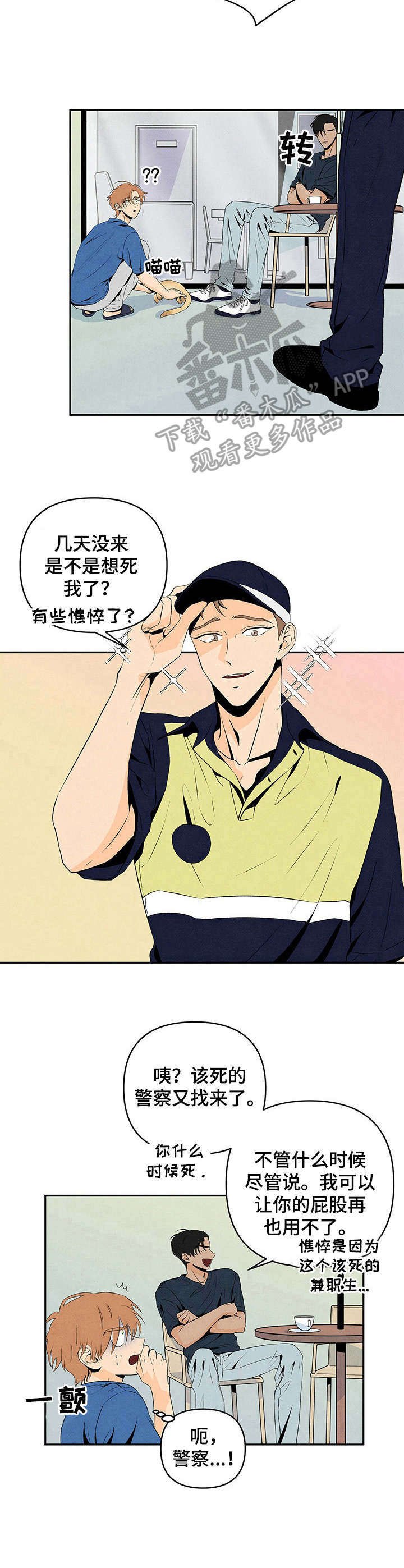 第11章：野猫