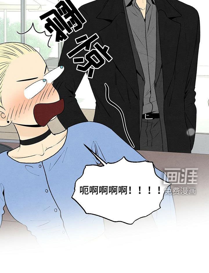 第121章：理想型