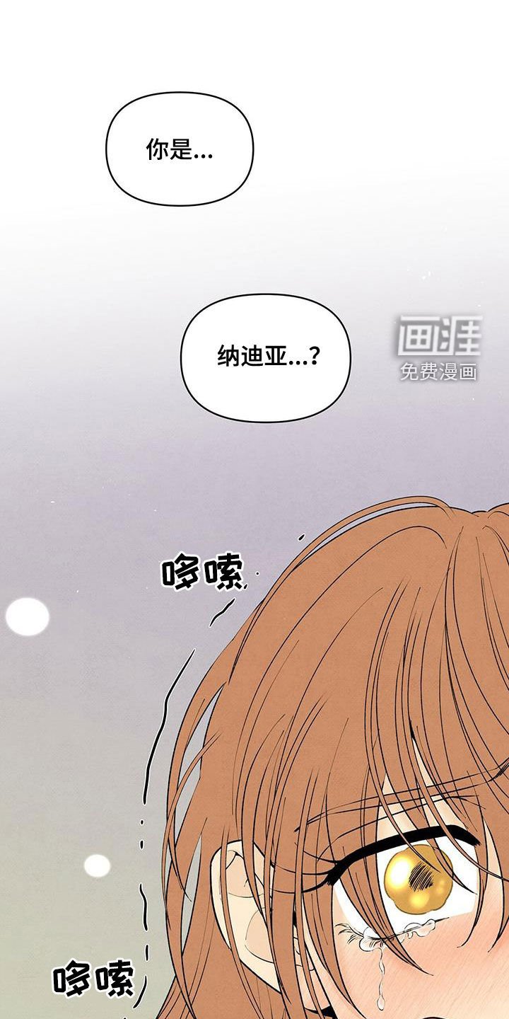 第127章：地下室