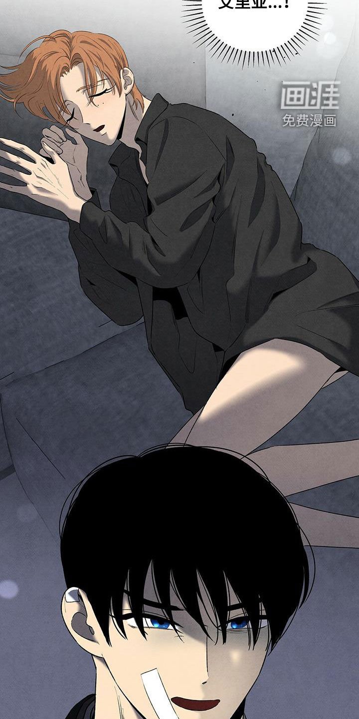 第128章：选择