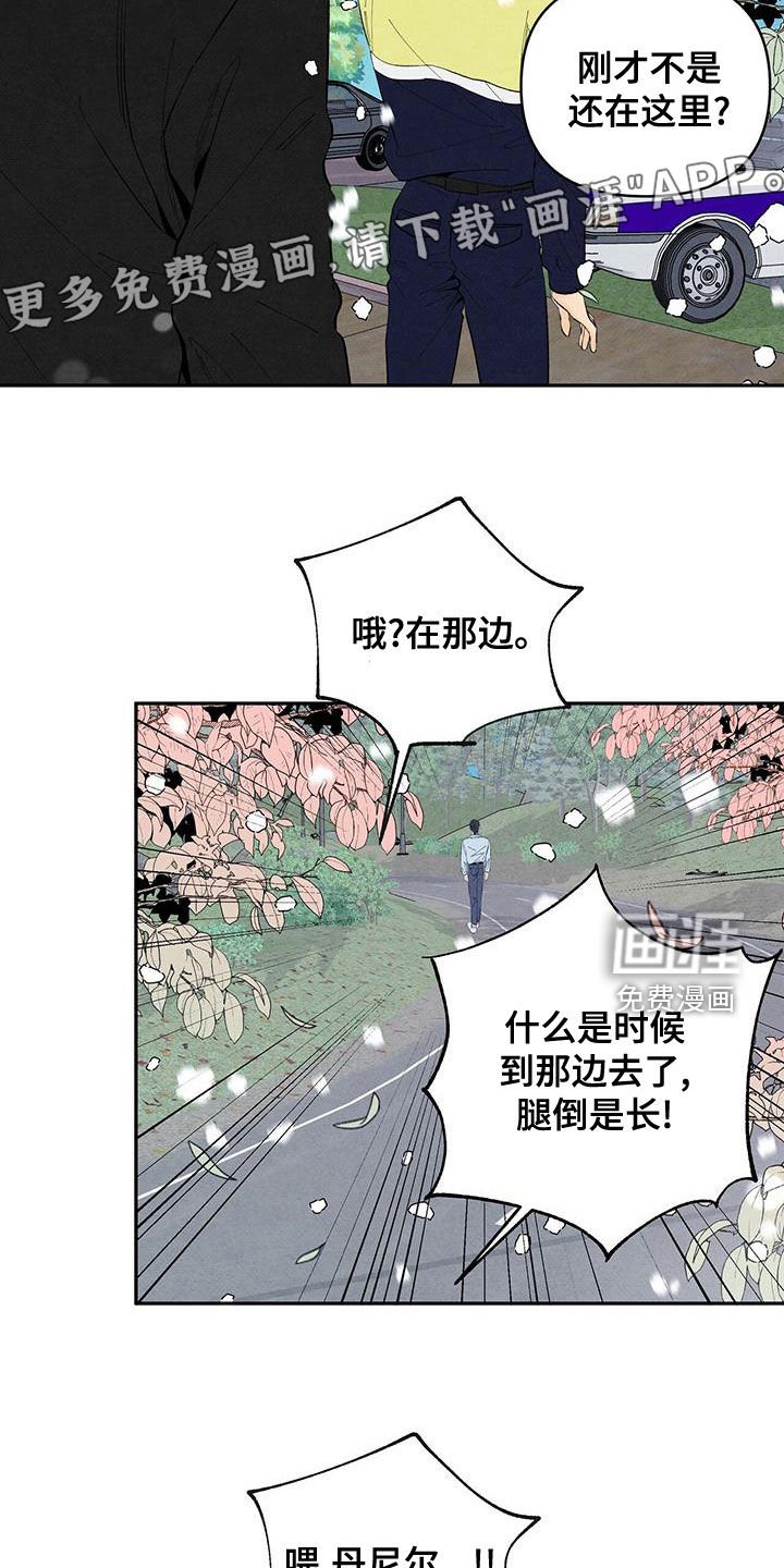 第132章：下雪（完结）