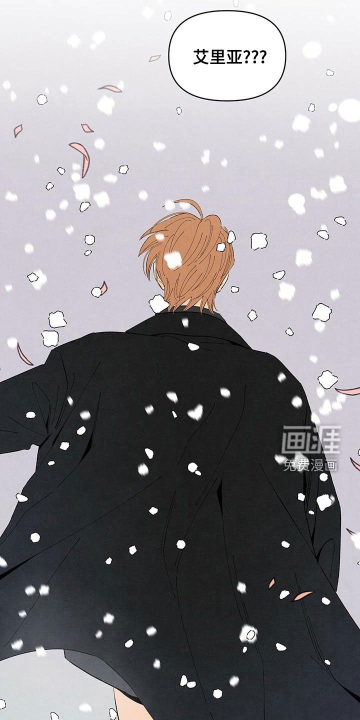 第132章：下雪（完结）