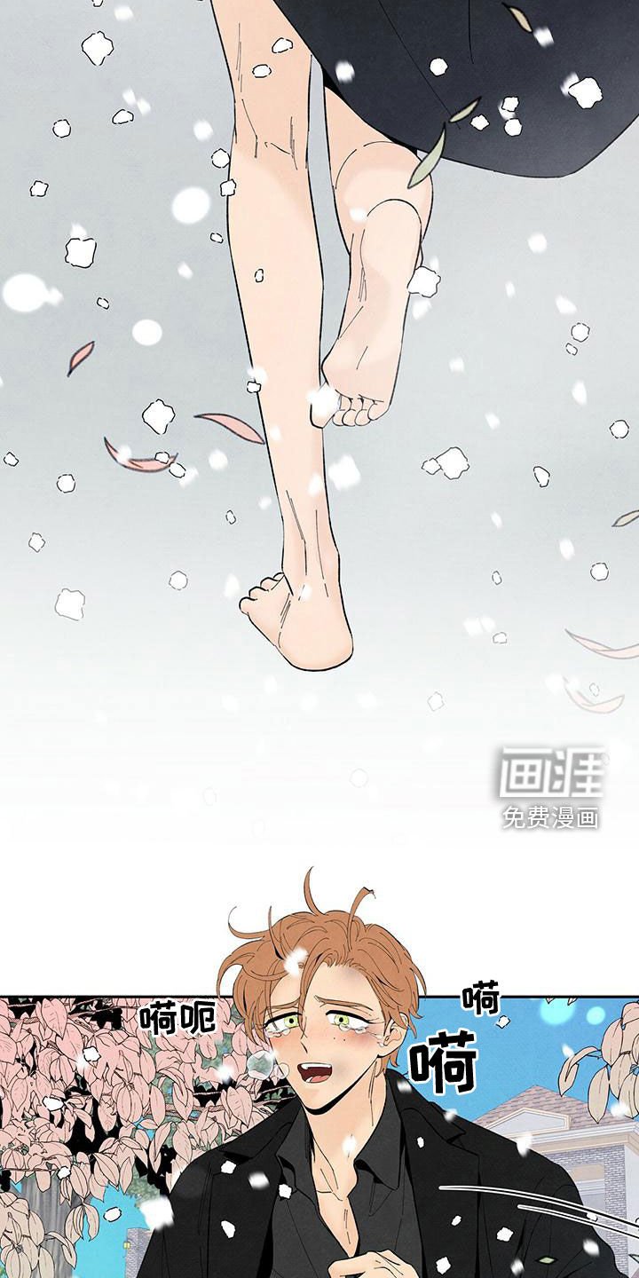 第132章：下雪（完结）