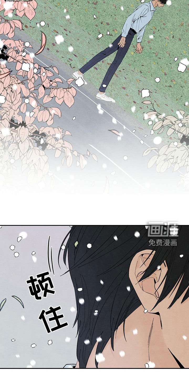第132章：下雪（完结）