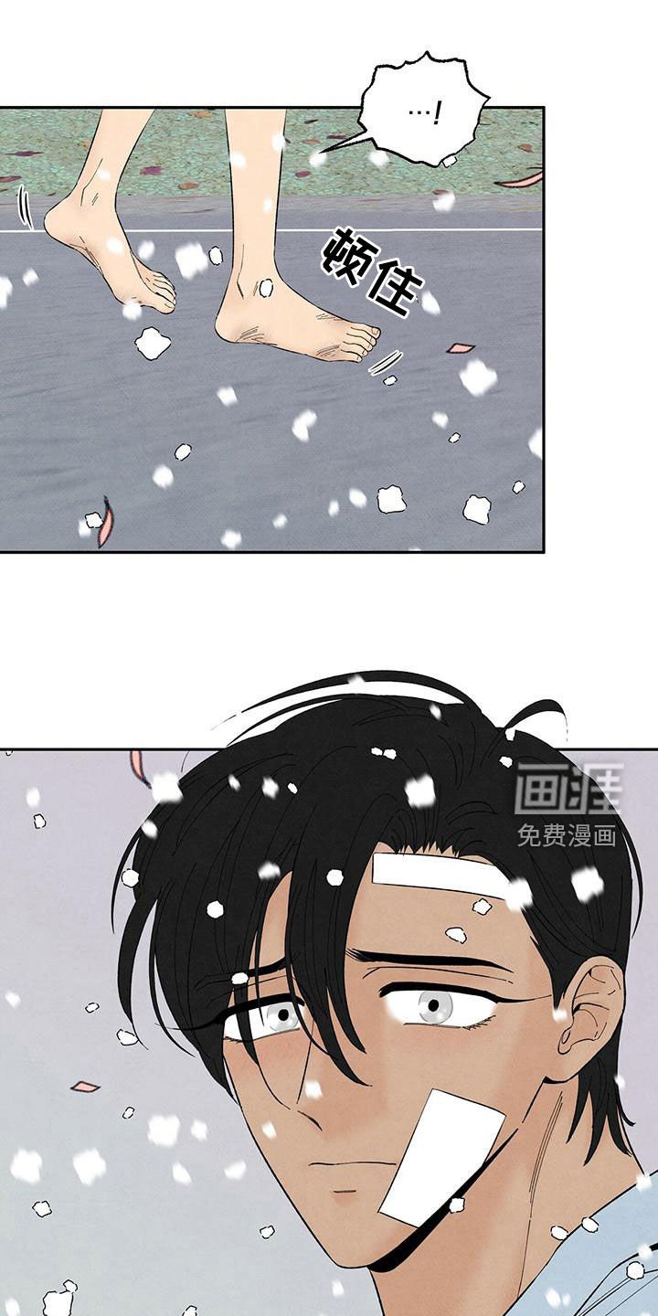 第132章：下雪（完结）