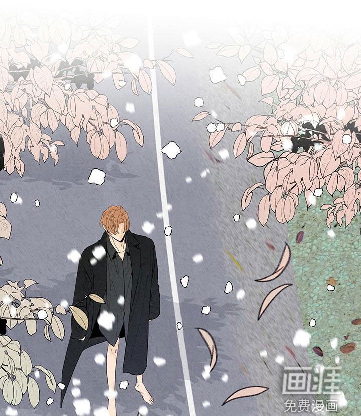 第132章：下雪（完结）