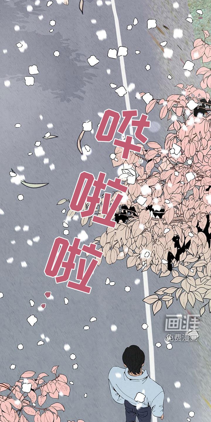 第132章：下雪（完结）