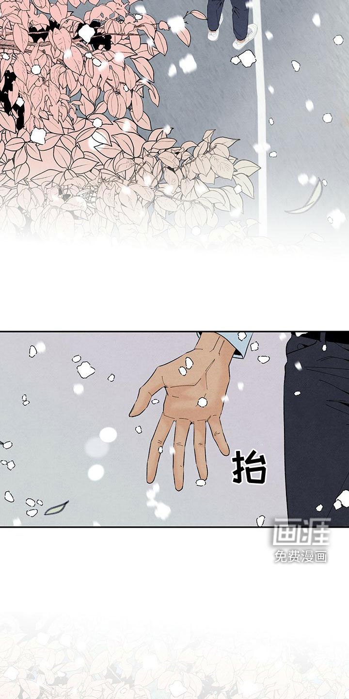 第132章：下雪（完结）