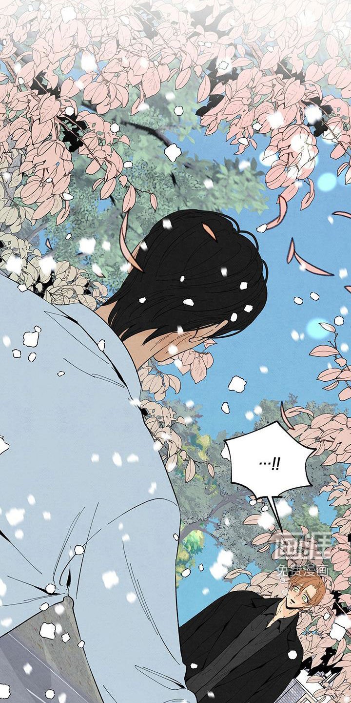 第132章：下雪（完结）