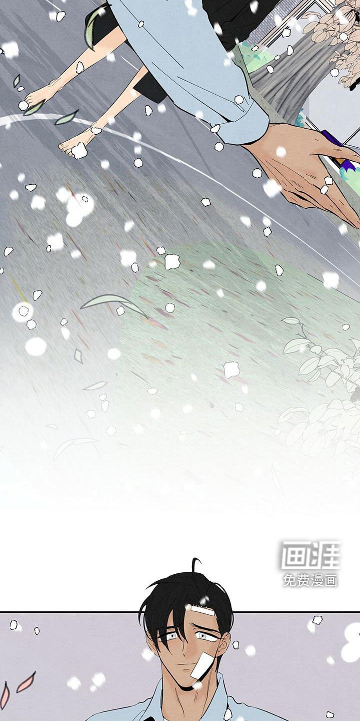 第132章：下雪（完结）