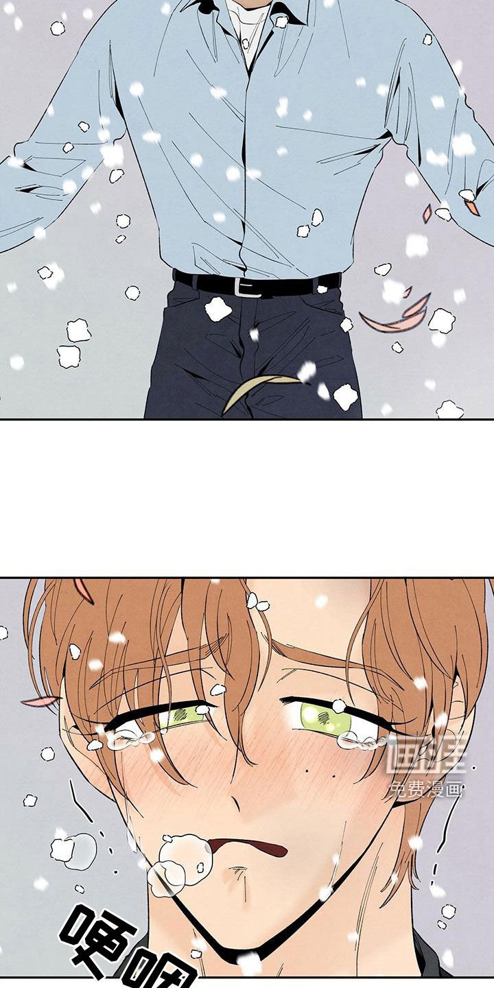 第132章：下雪（完结）