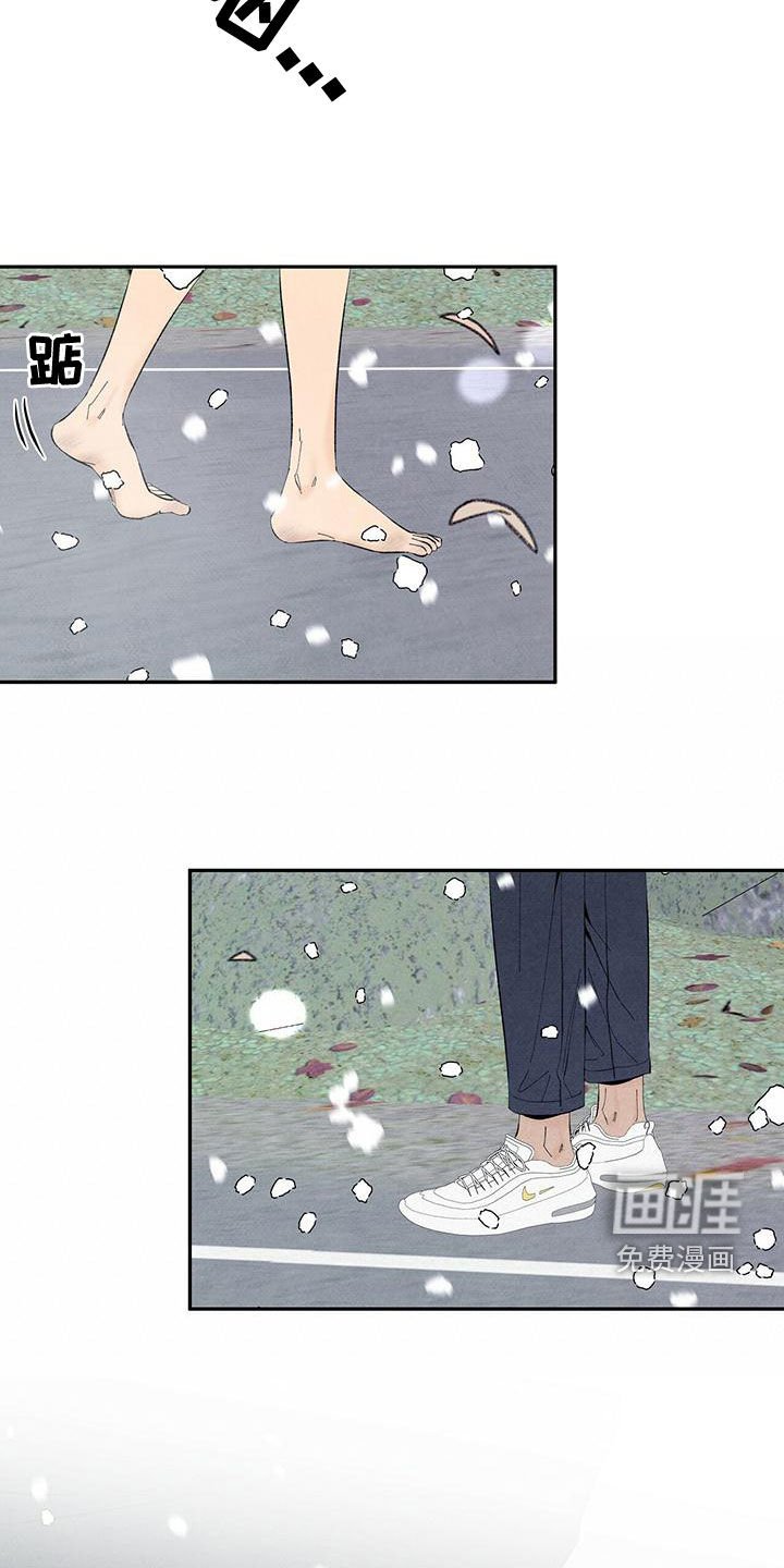 第132章：下雪（完结）