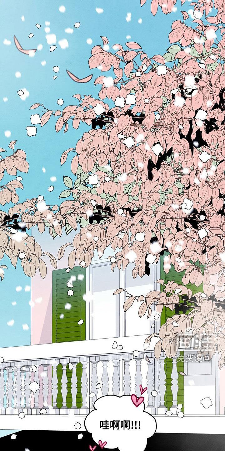 第132章：下雪（完结）