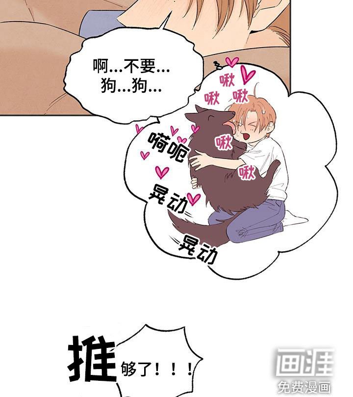 第133章：【番外】狗狗