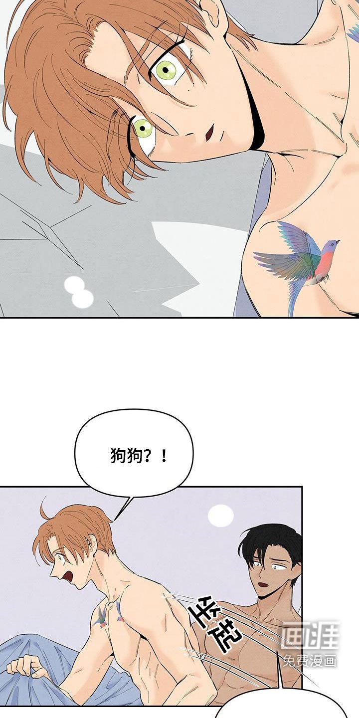 第133章：【番外】狗狗