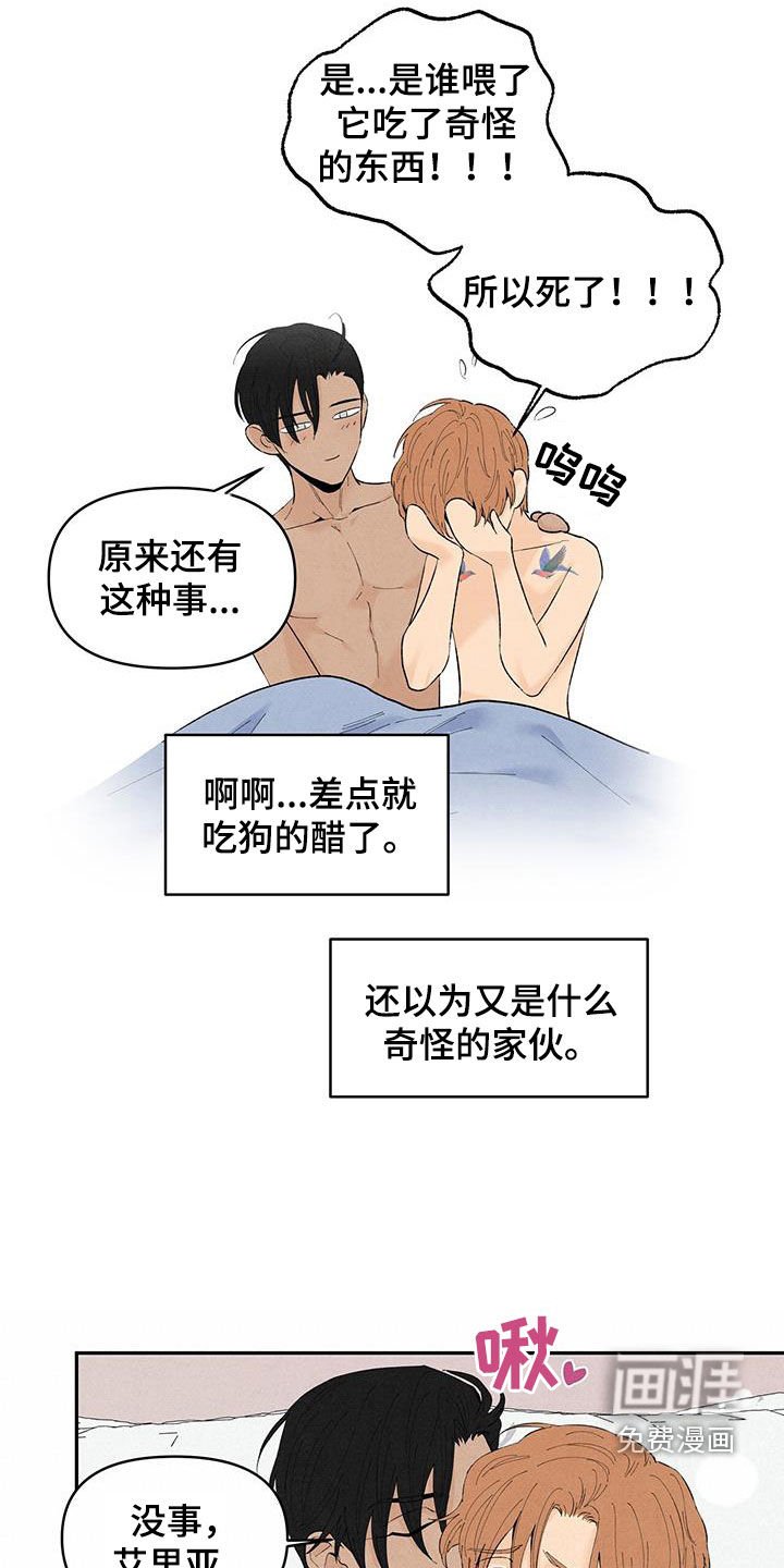 第133章：【番外】狗狗