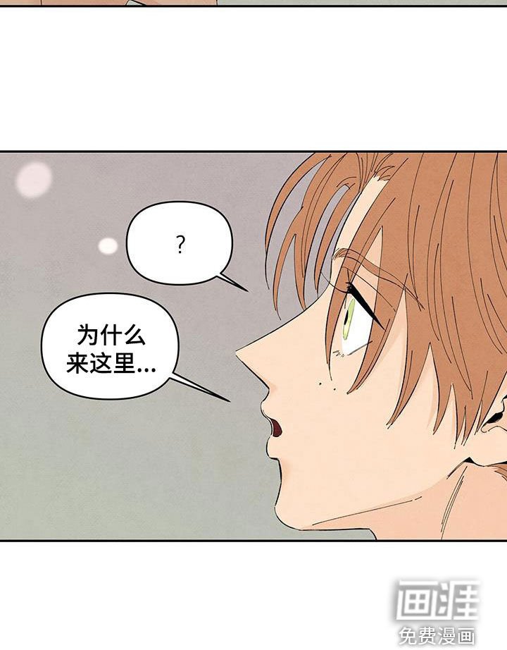 第140章：【番外】前男友